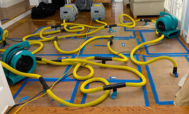 Professional Crawl Space Water Removal technician working in Benton, IL
